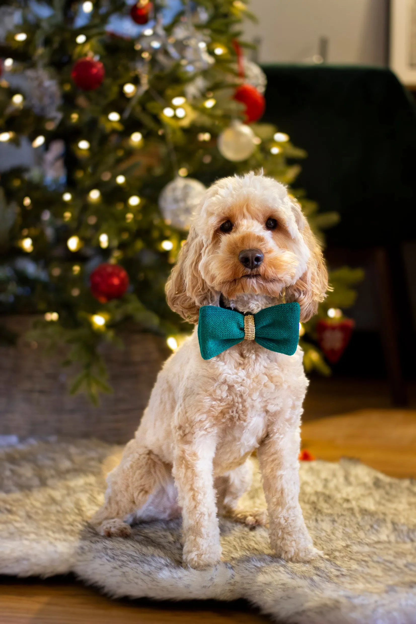 Rosewood Xmas Green Knitted Bow Tie x 4