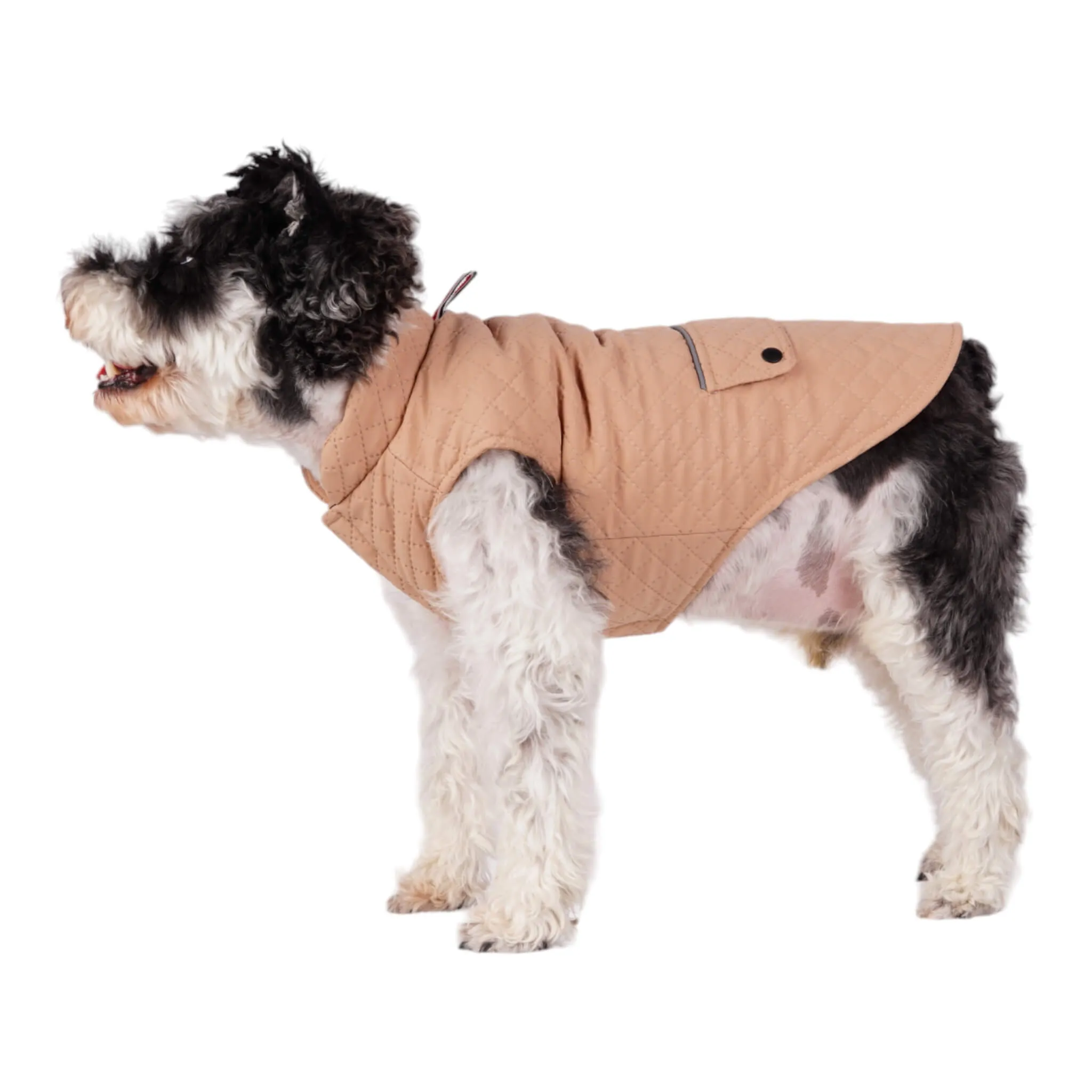 Somerset Dog Coat