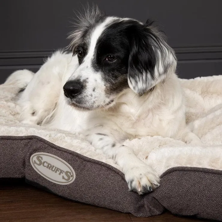 The Ellen Mattress Luxury Dog Bed Cushion