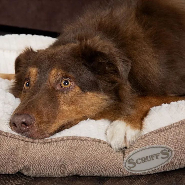 The Ellen Mattress Luxury Dog Bed Cushion