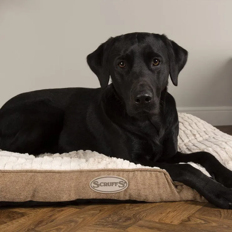 The Ellen Mattress Luxury Dog Bed Cushion