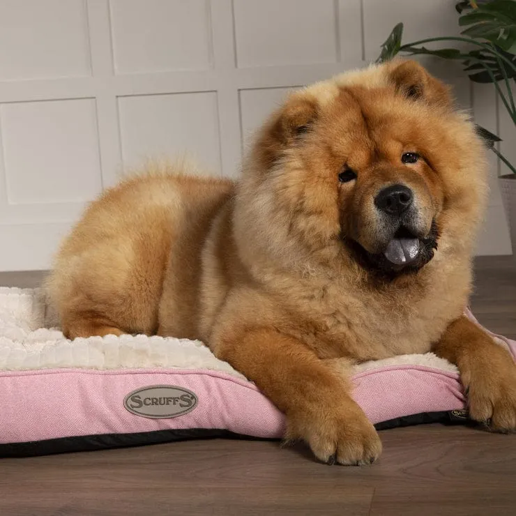 The Ellen Mattress Luxury Dog Bed Cushion