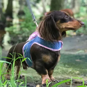 Tiny Dog Denim Dog Harness Pink Bandana Scarf | 4 LBS to 15 LBS