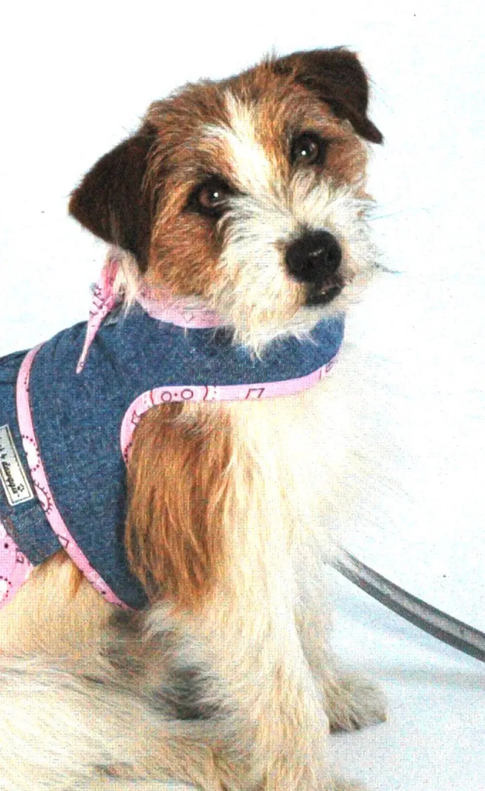 Tiny Dog Denim Dog Harness Pink Bandana Scarf | 4 LBS to 15 LBS